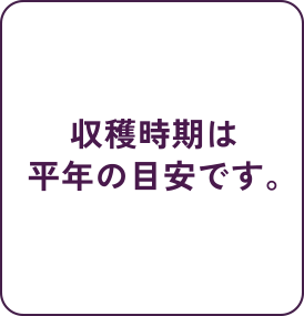 収穫時期は平年の目安です